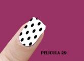 MODELO 29