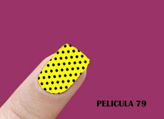 MODELO 79