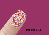 MODELO 34
